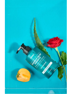 KUNDAL Dandruff Shampoo | Control Caspa y Frescor 2