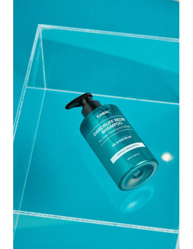KUNDAL Dandruff Shampoo | Control Caspa y Frescor