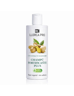 ELISABETH LLORCA - Champú de jengibre e hidrolizado